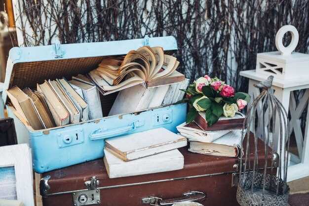 The Best Ways to Store and Preserve a Classic Car Collection